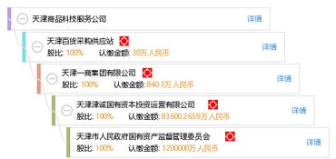 天津商品科技服务公司的软件开发实践与创新探索